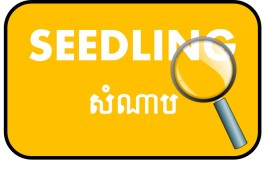 seedlingseachicon
